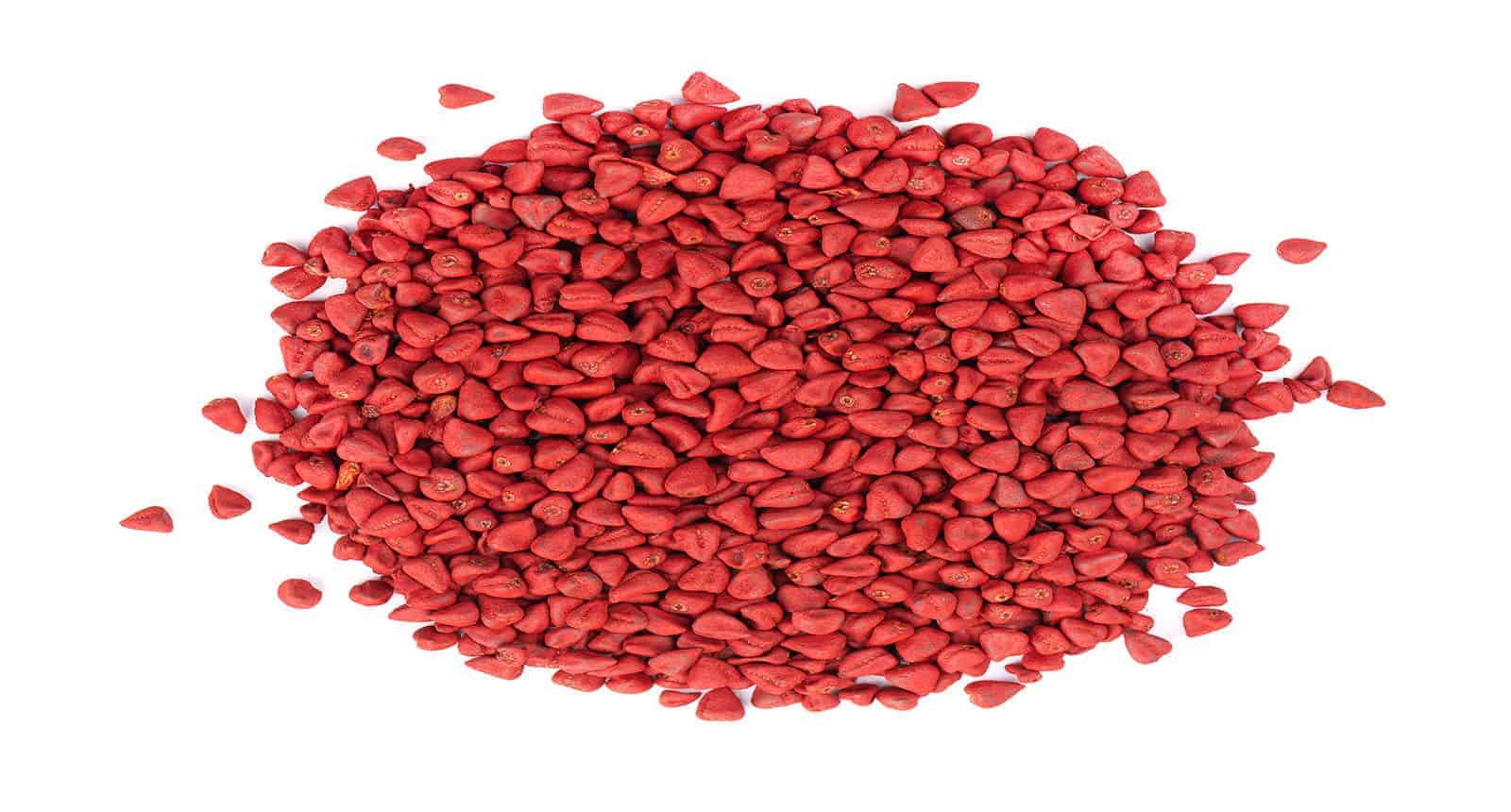 Annatto Seeds Isolated