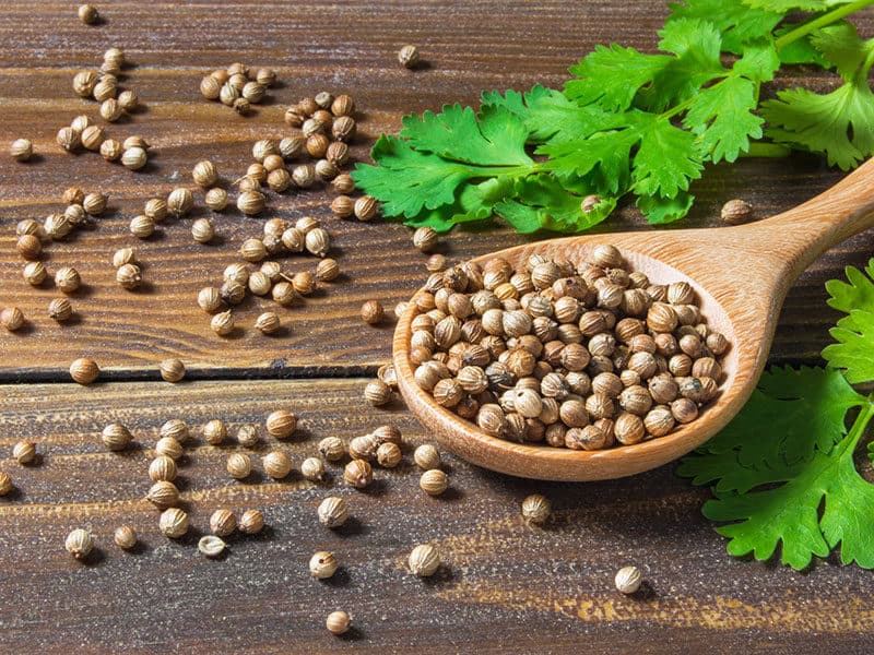 Coriander Seed