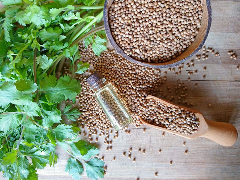 Coriander Substitutes 19 MustHave In Your Kitchen 2023