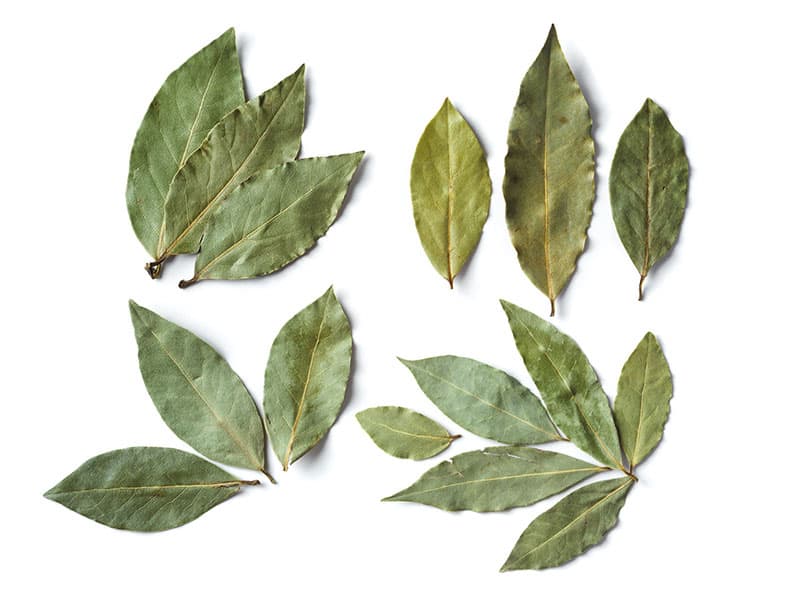 Dried Bay Leaves