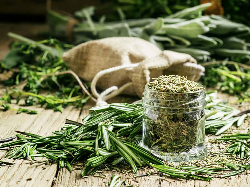 Dried Rosemary and Fresh Rosemary