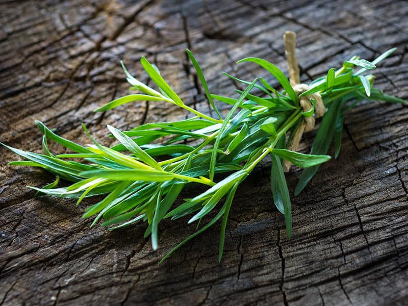 Tarragon on Wooden