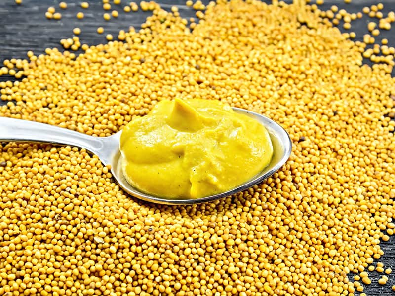 Yellow Mustard Sauce