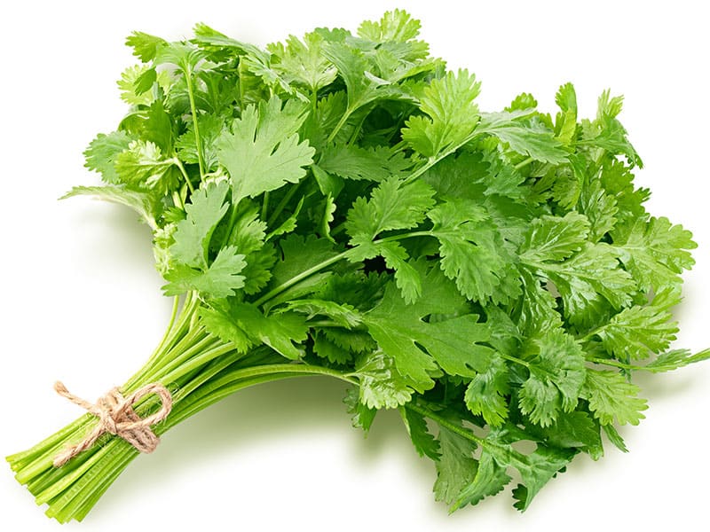 Bunch Fresh Parsley
