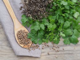 Coriander Substitutes