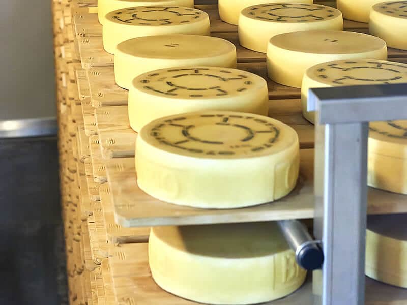 Appenzeller Cheese