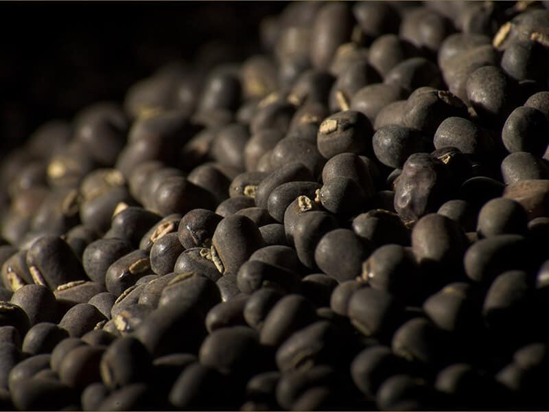 Black Urad Beans