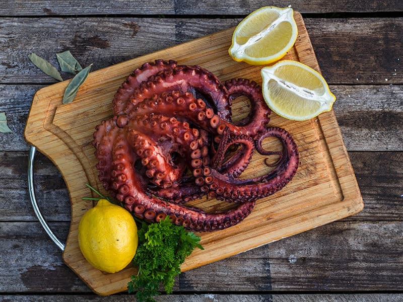 Boiled Octopus