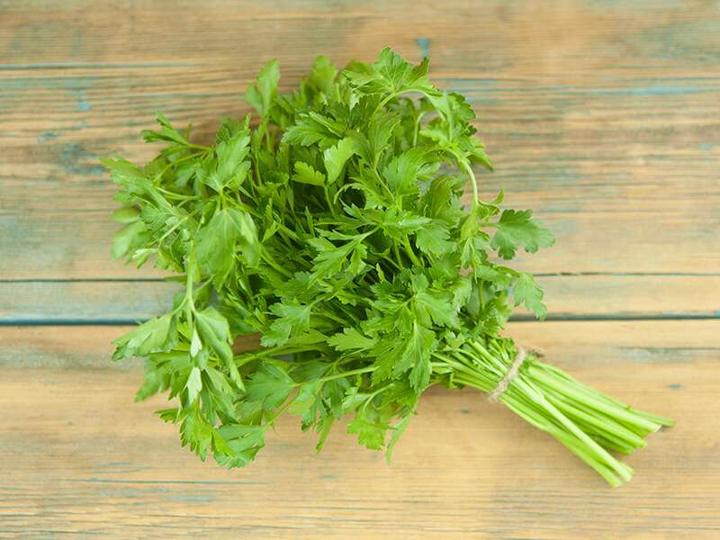 Bunch Green Parsley