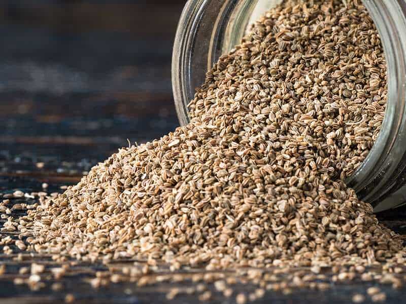 Celery Seed