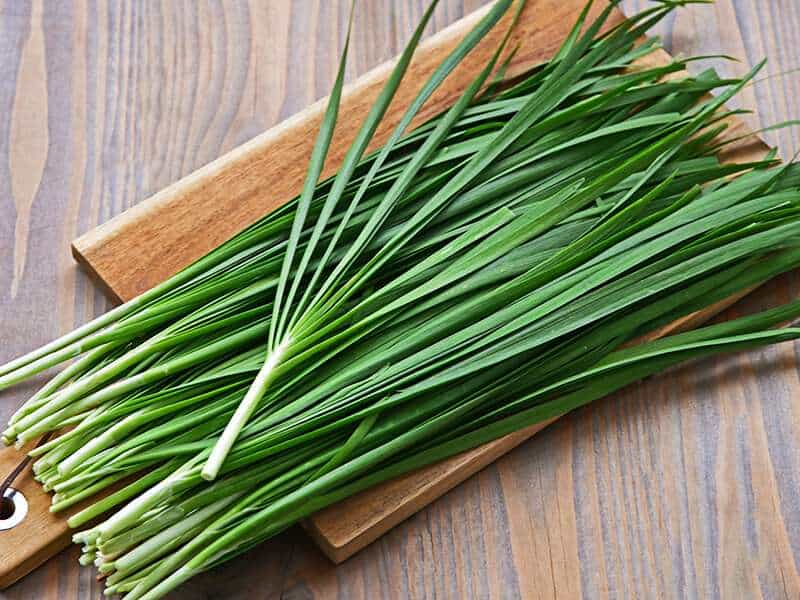 Chinese Chive