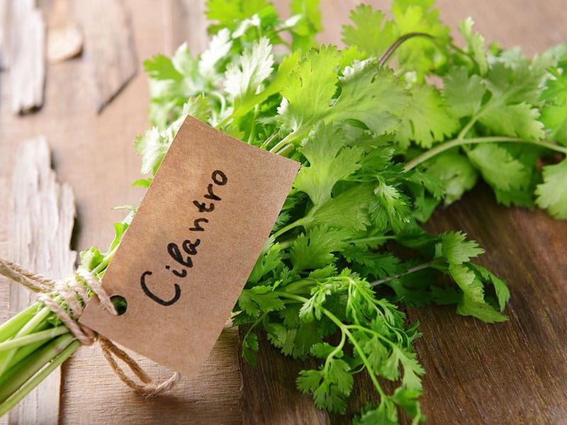 Cilantro On Table