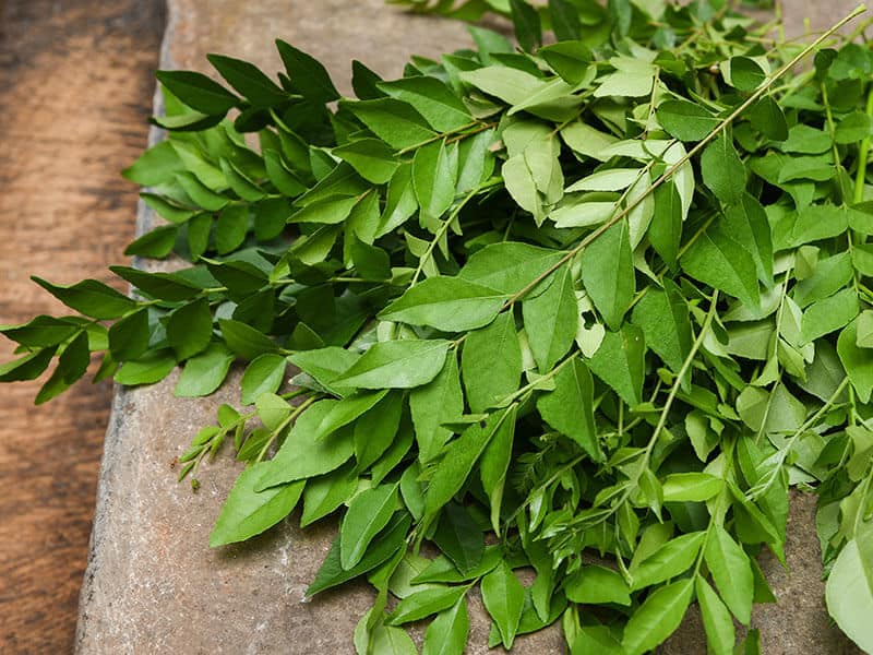 Curry Leaves