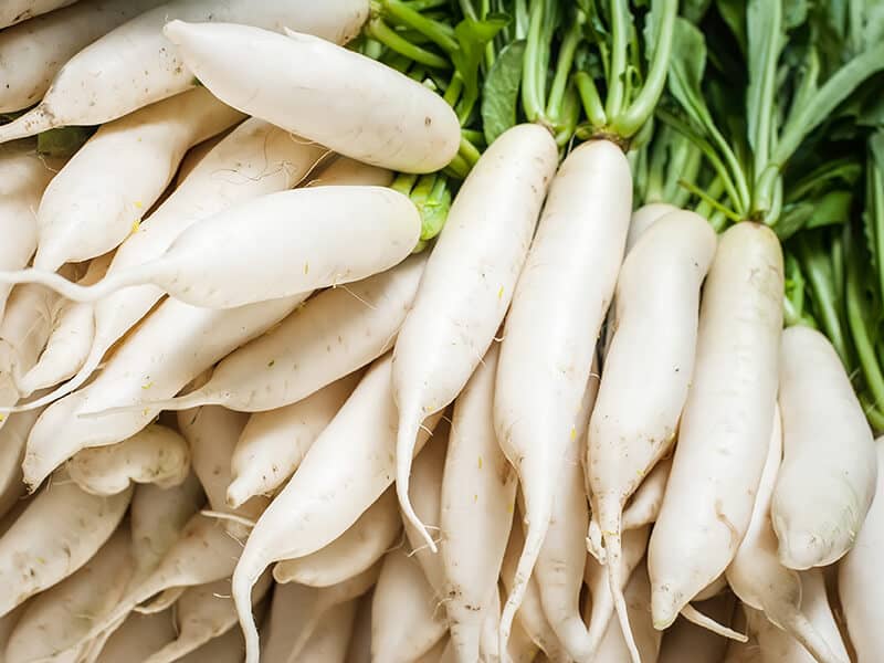 Daikon Radish