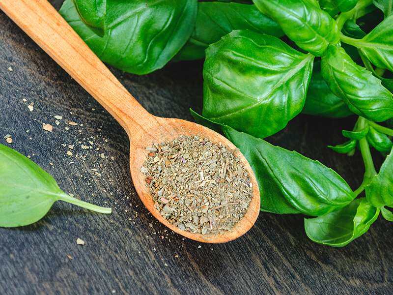 Dry Ground Basil