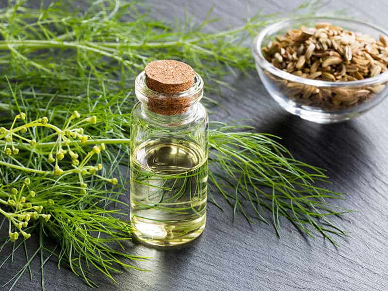 Fennel Essential Oil Fresh Green