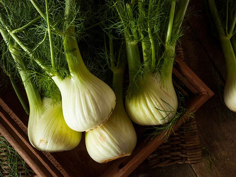 Organic Fennel