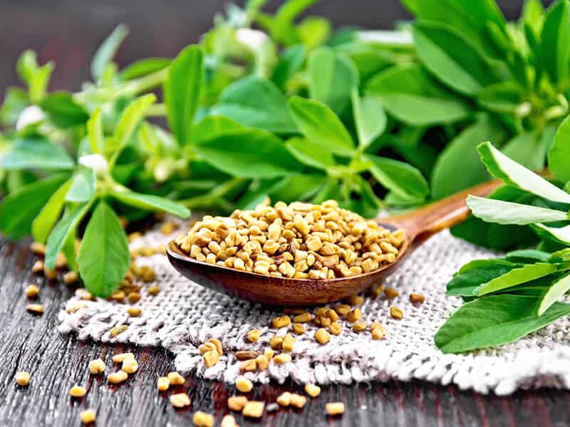 Fenugreek Spoon