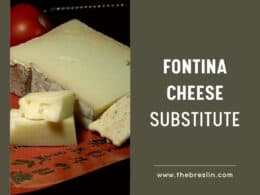 Fontina Cheese Substitute