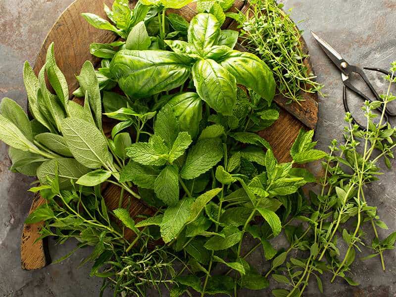 Fresh Basil Mint