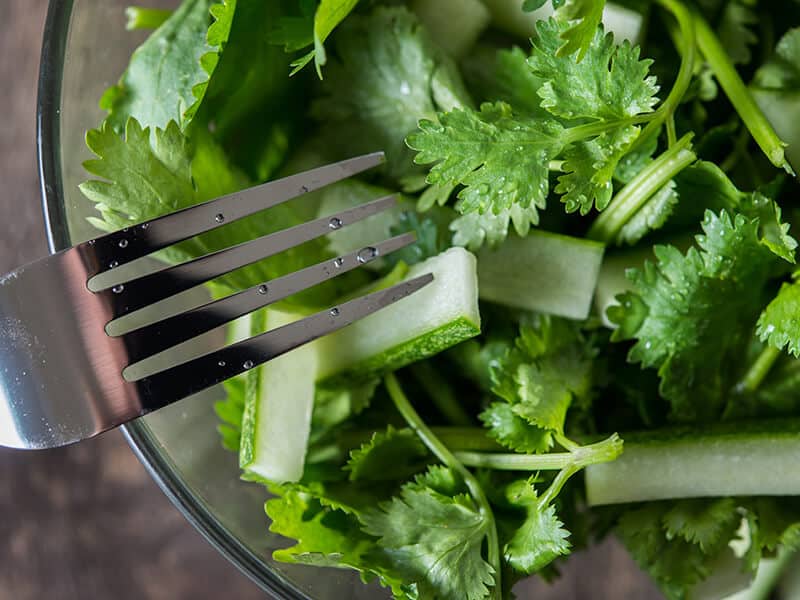 Fresh Cilantro