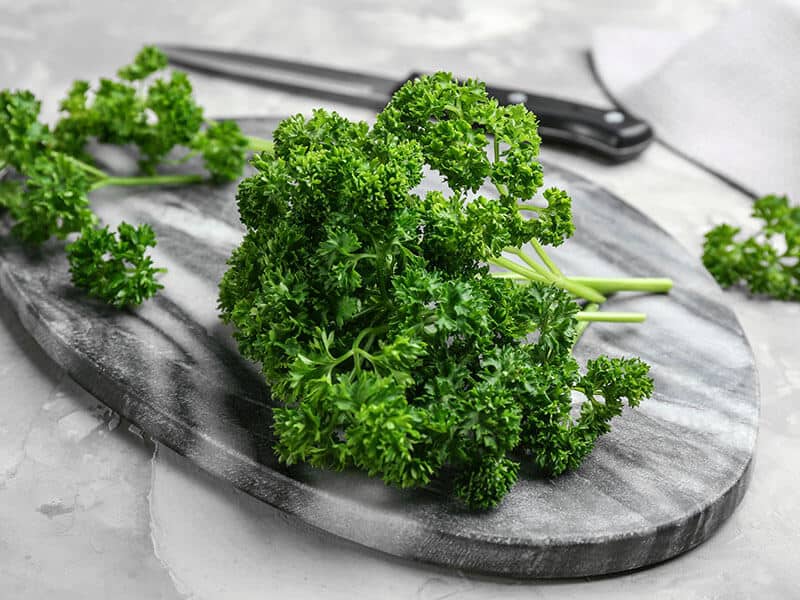 Fresh Curly Parsley