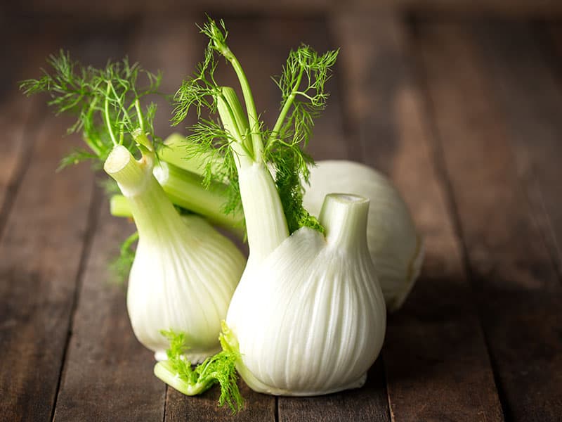 Fresh Fennel Bulb