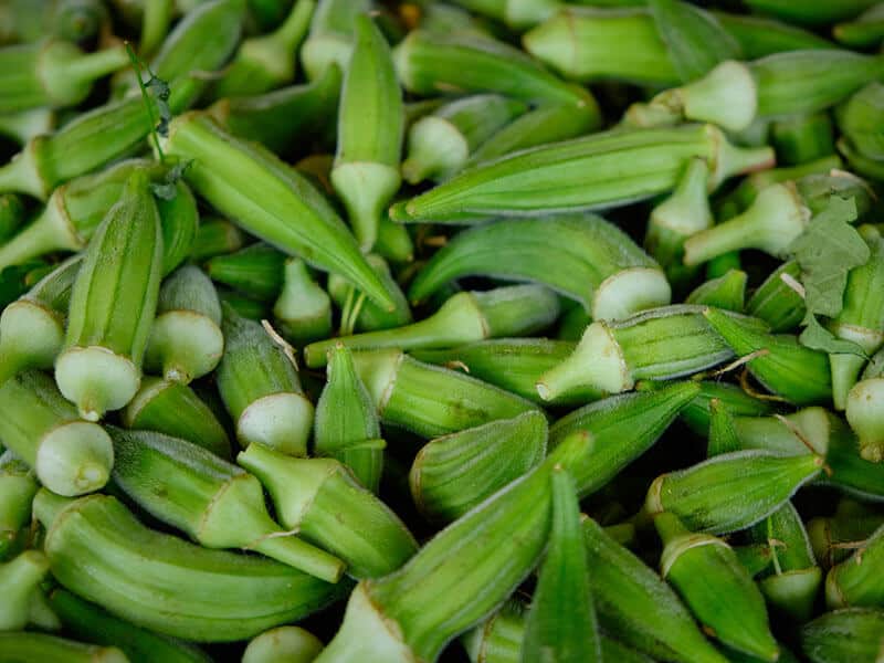 Fresh Green Okra Pods