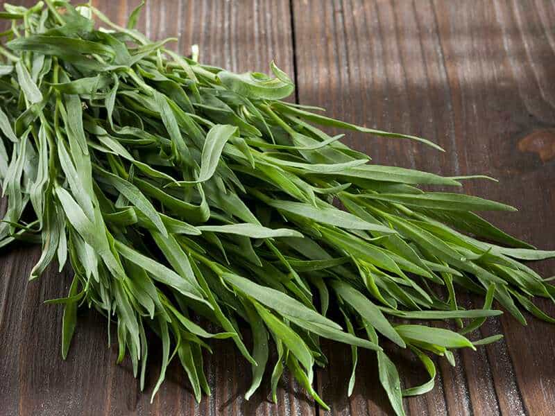 Fresh Green Tarragon