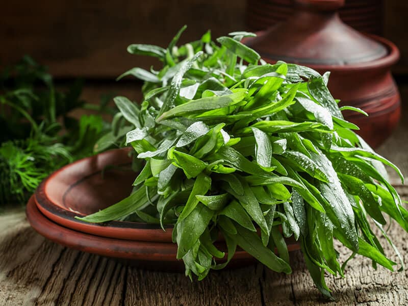 Fresh Green Tarragon