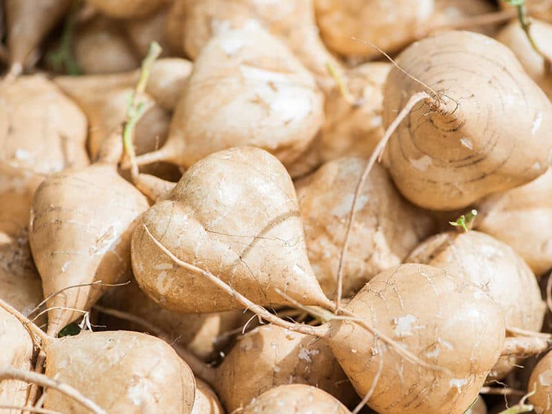 Fresh Jicama Crate