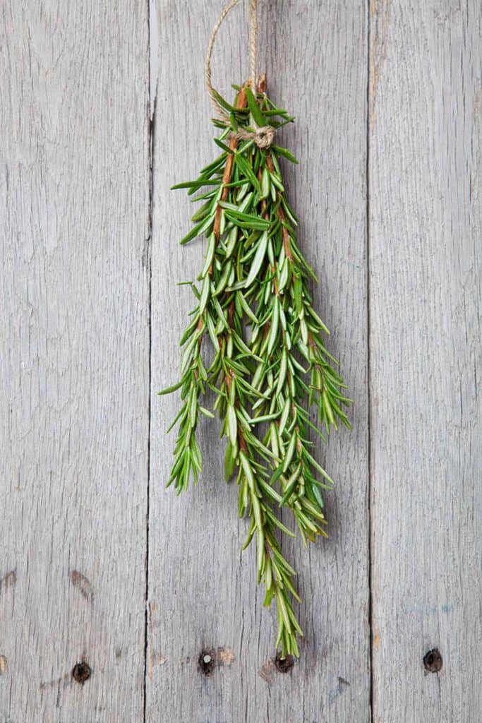 What Does Rosemary Taste Like? A Full Description About It