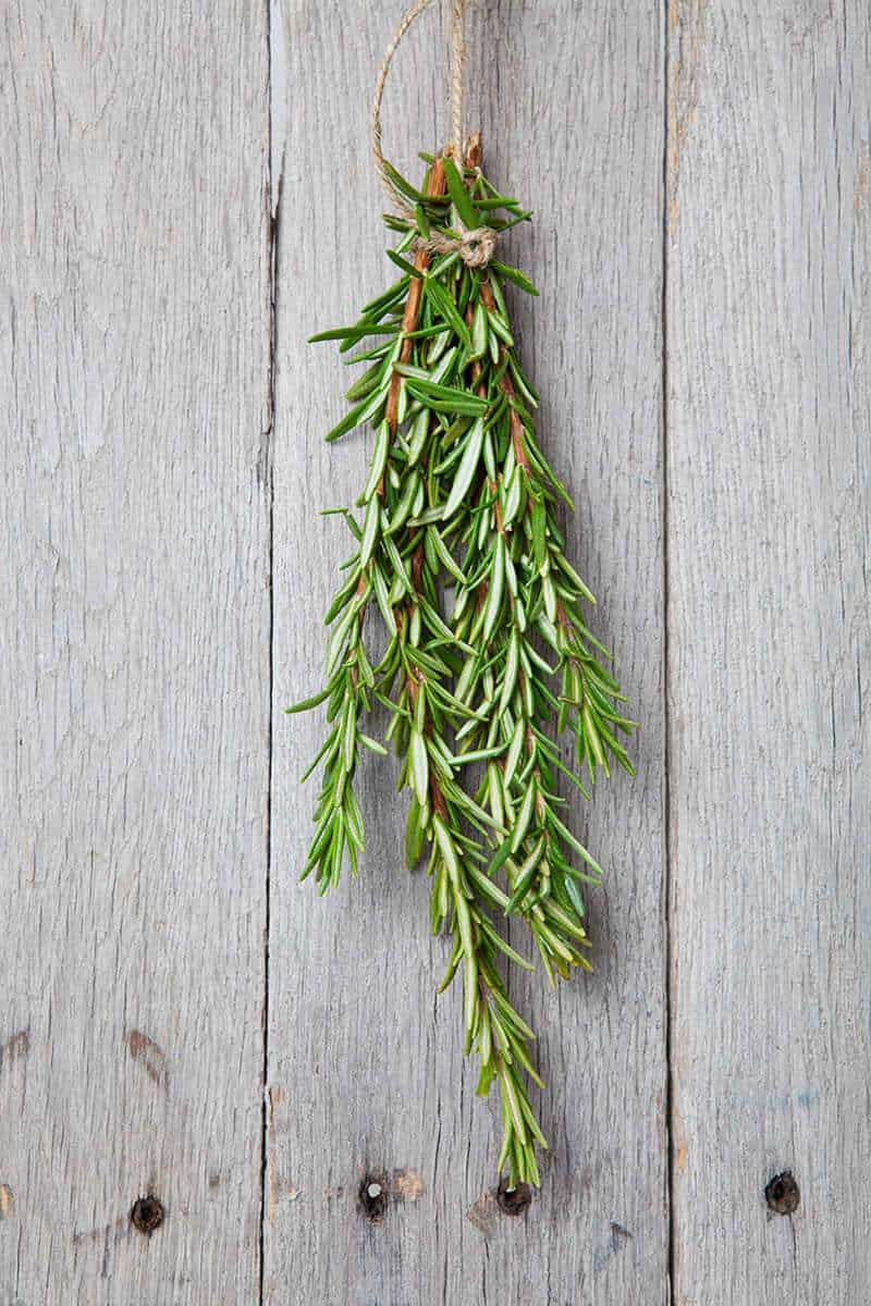 Fresh Rosemary Hung Upside