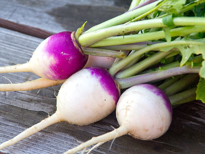 Fresh Turnip