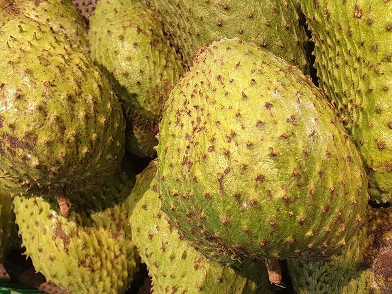 Fruit Soursop Lots