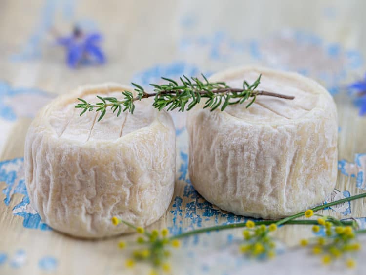 What Does Goat Cheese Taste Like A Distinctive Taste 2023