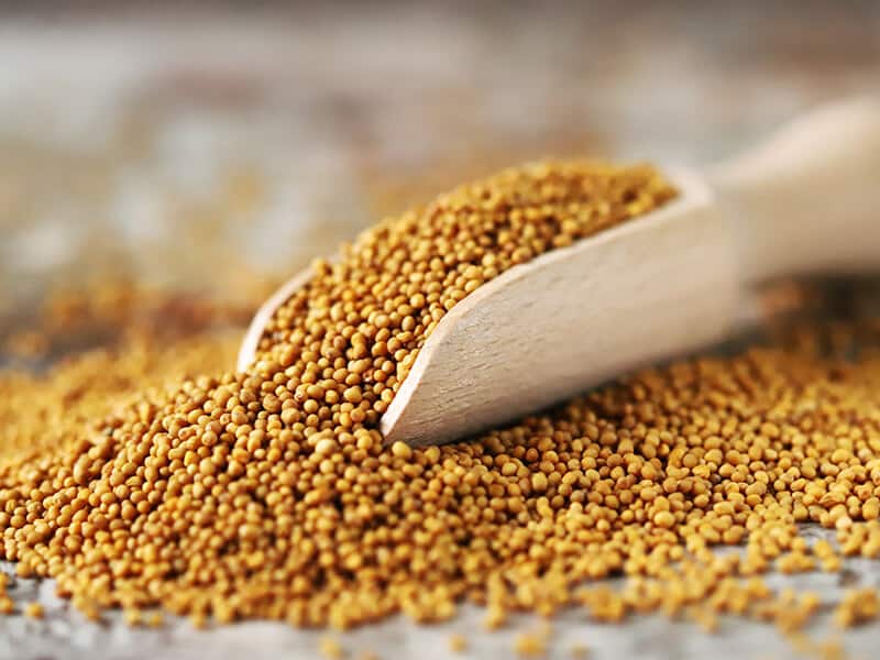 Grains Mustard