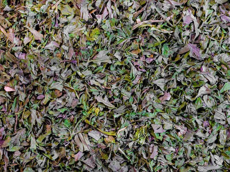 Green Dried Chopped Chervil