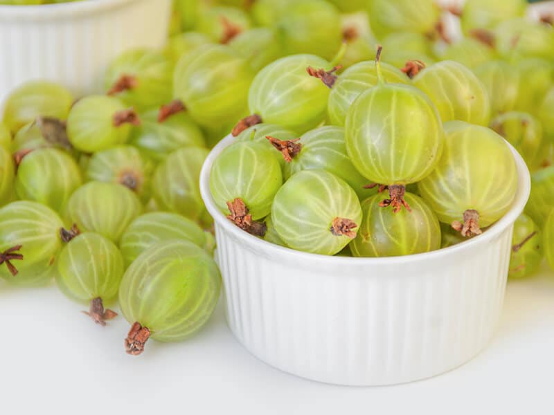 Green Gooseberry