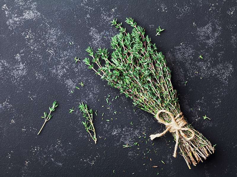 Herb Thyme