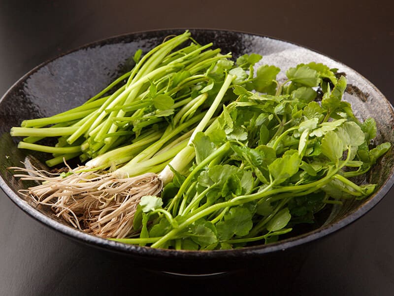 Japanese Seri Parsley