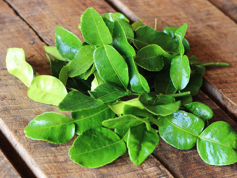 Kaffir Lime Leaves