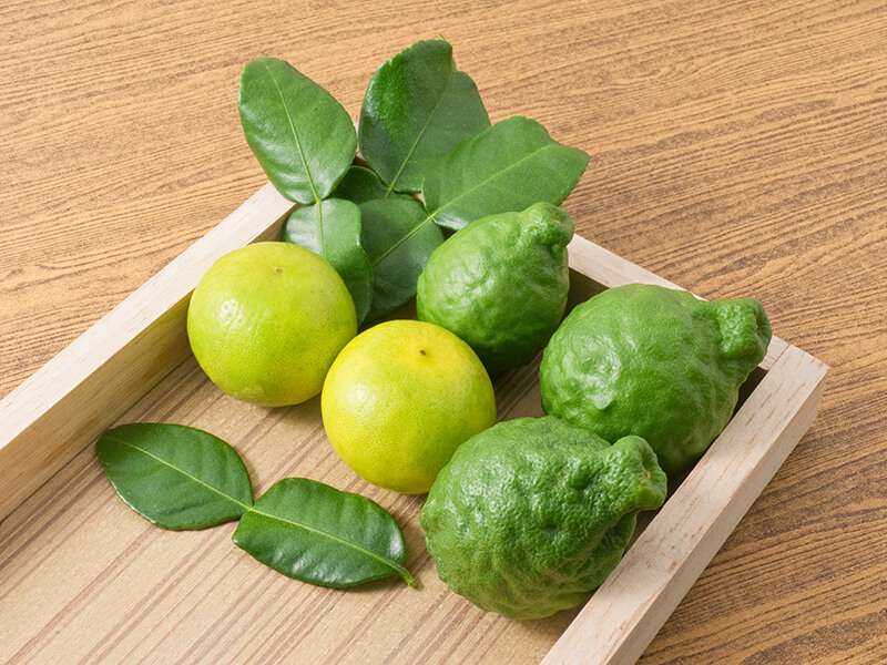 Kaffir Lime