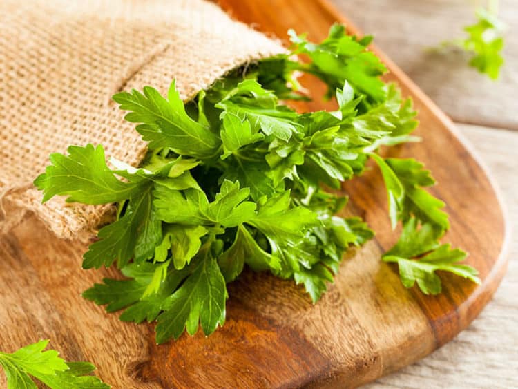 What Does Parsley Taste Like? Not Just A Garnish! 2023