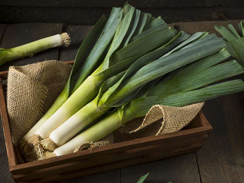 Substitutes For Leeks