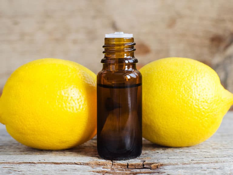 10+ Lemon Extract Substitutes Will Blow Your Mind! 2023