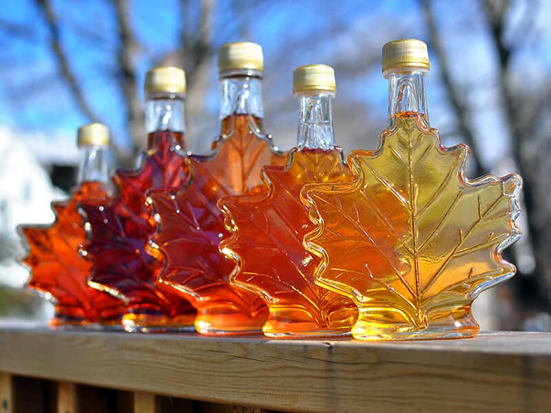 Maple Syrup Made
