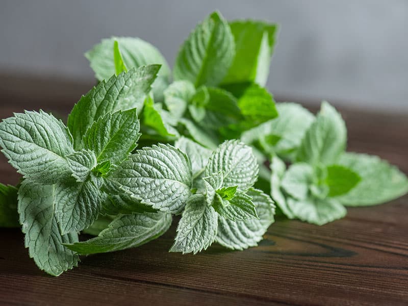 Mint Sprigs