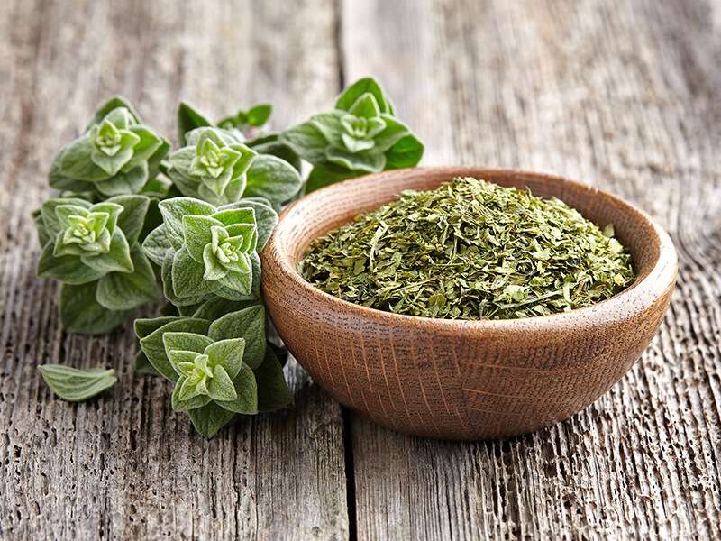 Oregano Dry