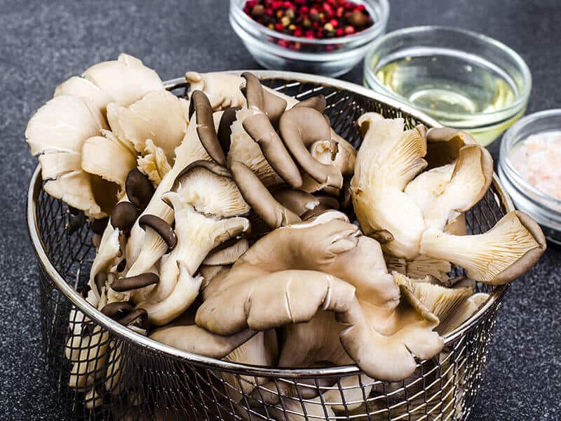 Oyster Mushrooms